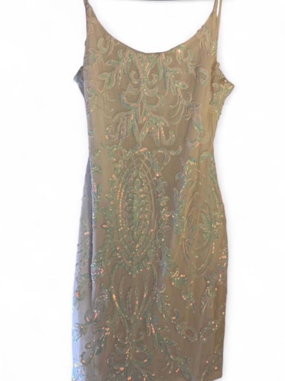 Windsor Taupe Midi Slip Dress with Iridescent Beading